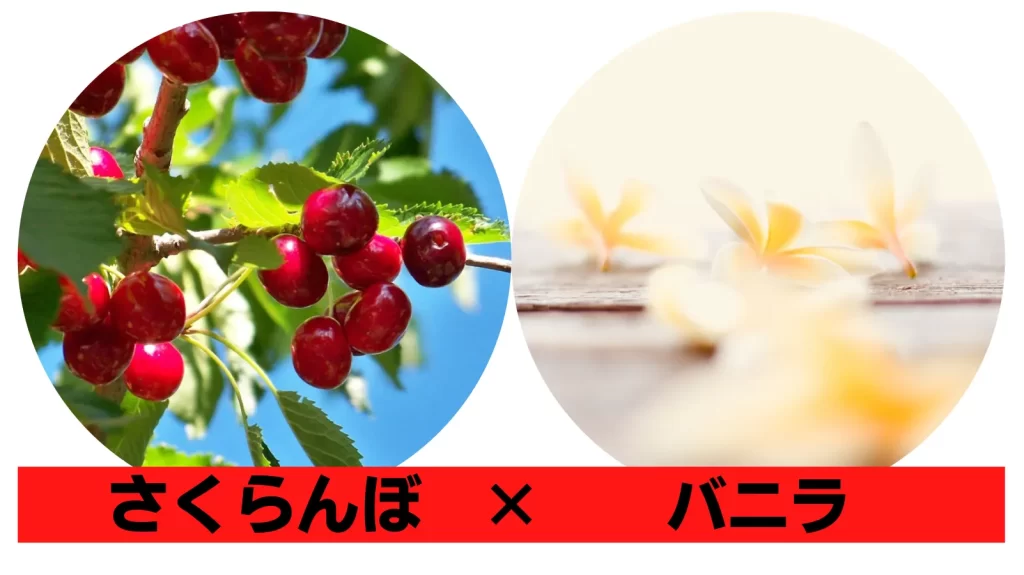 11位【ミルキーチェリー】甘さ★★☆(2)お菓子のように甘く元気いっぱいの香りに似てる香水を紹介