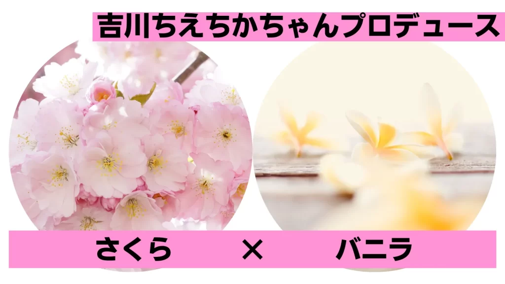 8位【チェリーツインズ】吉川ちえちかちゃんプロデュース「おしとやかで優しい春の甘い香り」